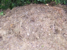 top-compost-heap-02