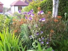 100_0777-medium