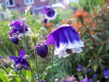 100_0778-medium