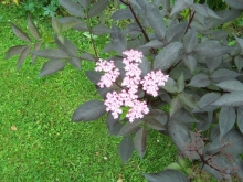 100_0837-medium